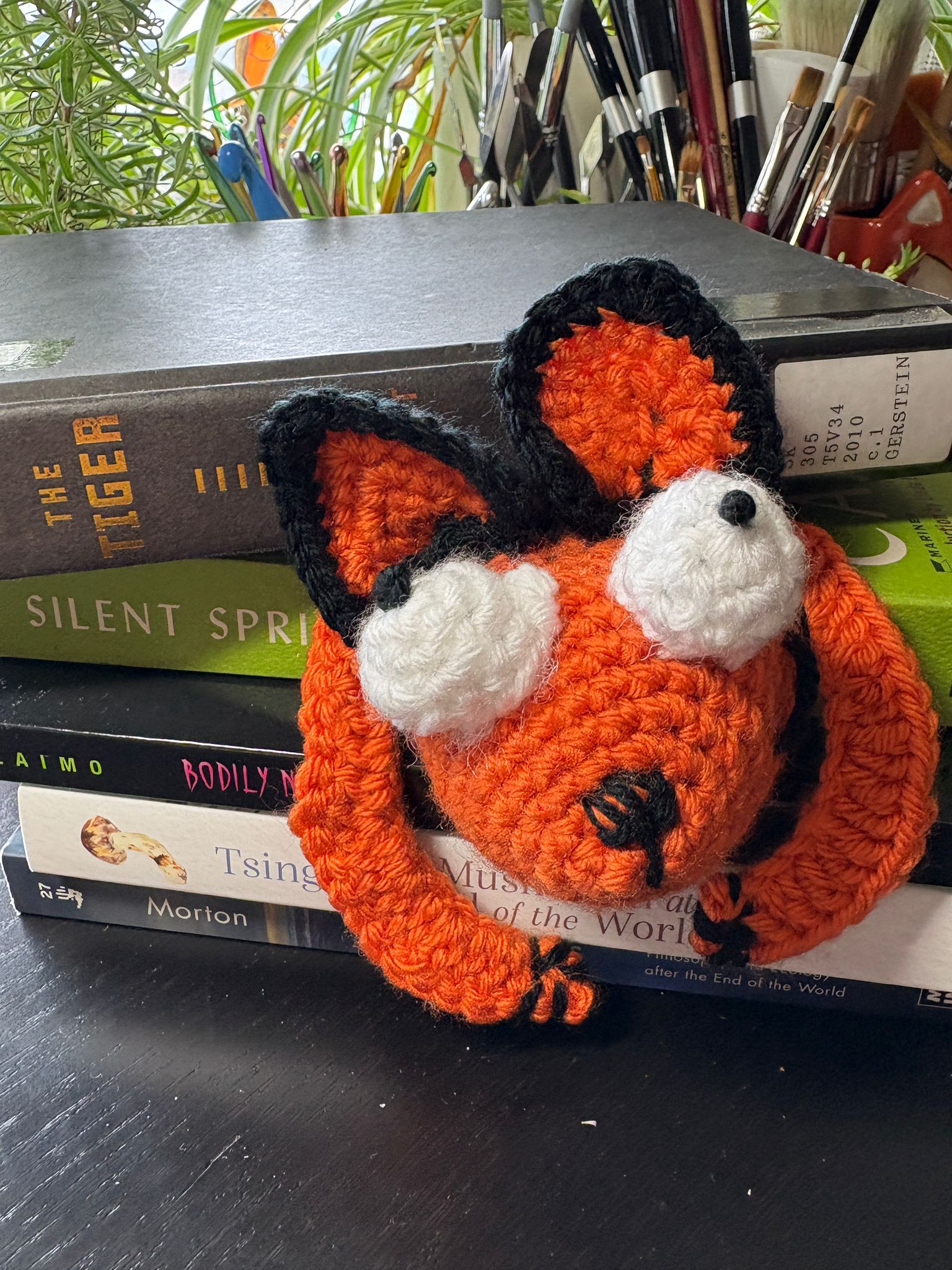Academic Crochet: The Ecocriticism Collection